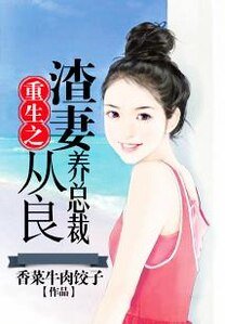 重生之渣妻從良養總裁