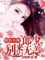 婚情不晚:郎少別來無恙