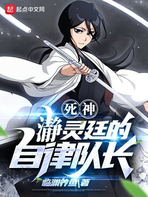 (死神同人)死神:瀞靈廷的自律隊長